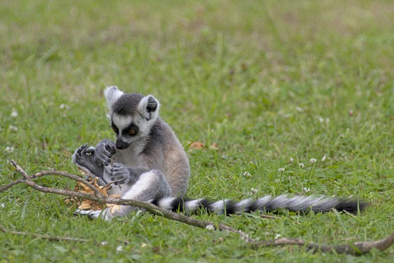 Cjp_2011_08_02_132630 (2).jpg